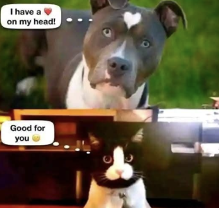 Screenshot 2025-04-04 at 19.15.29.png