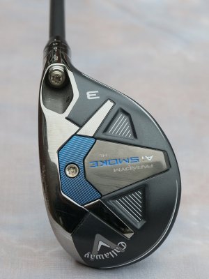3hybrid2.JPG 3hybrid2.JPG