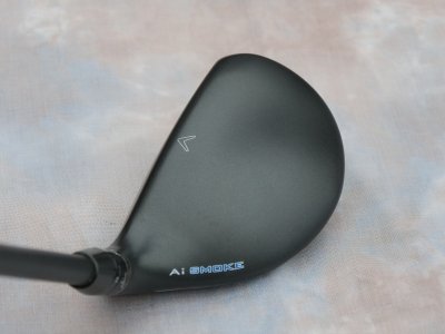 3hybrid3.JPG 3hybrid3.JPG
