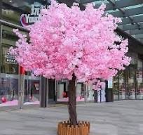 IMG_1216.jpeg