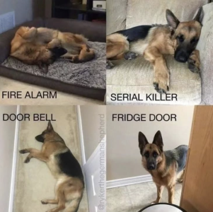 Screenshot 2025-04-29 at 12.02.14.png