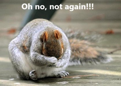 Oh no!.jpg Oh no!.jpg