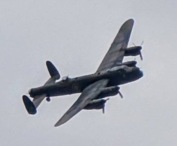 IMG_9441.jpeg
