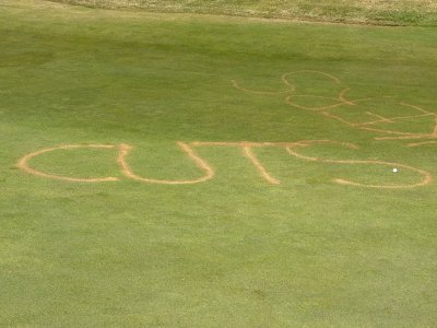 ac3846cf-f43e-4212-937b-5ced758c4c5c.jpeg ac3846cf-f43e-4212-937b-5ced758c4c5c.jpeg