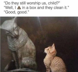 Screenshot 2025-05-25 at 03.46.05.png