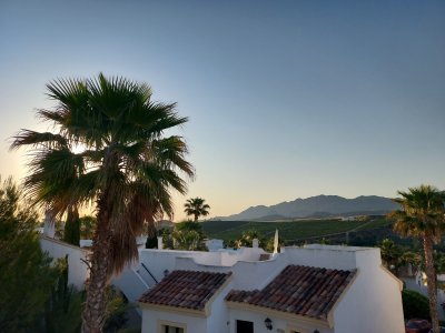 20250530_074603.jpg 20250530_074603.jpg