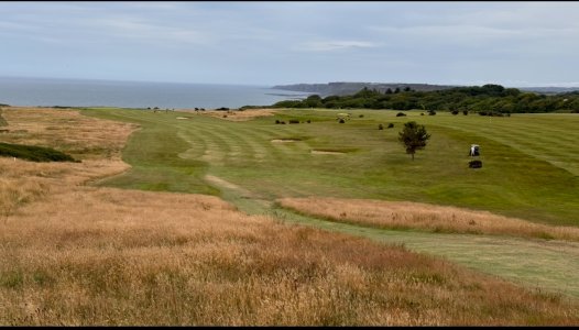 IMG_2241.jpeg IMG_2241.jpeg