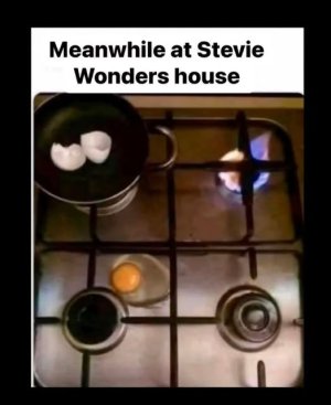 Stevie.jpg