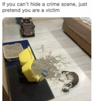 Screenshot 2025-07-28 at 20.57.58.png