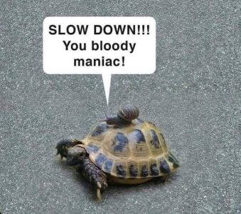 1000004210.jpg 1000004210.jpg