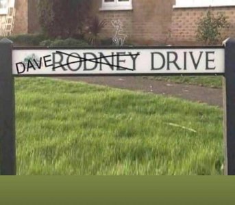 IMG_8955.jpeg IMG_8955.jpeg