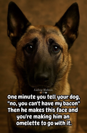 Screenshot 2025-09-08 at 15.17.33.png