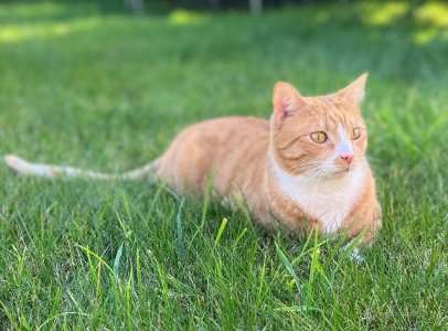 IMG-20231103-WA0008 Copy.jpeg