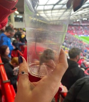 IMG_0138.jpeg IMG_0138.jpeg