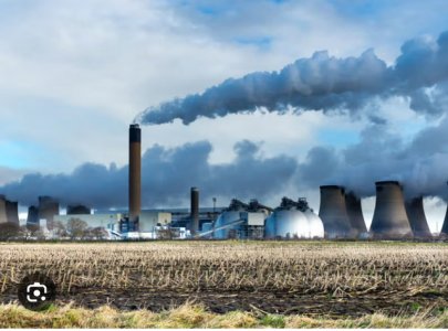 IMG_4668.jpeg IMG_4668.jpeg