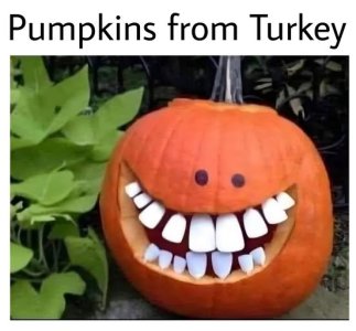 pumpkin.jpg