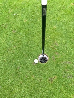 IMG_0503.jpeg IMG_0503.jpeg