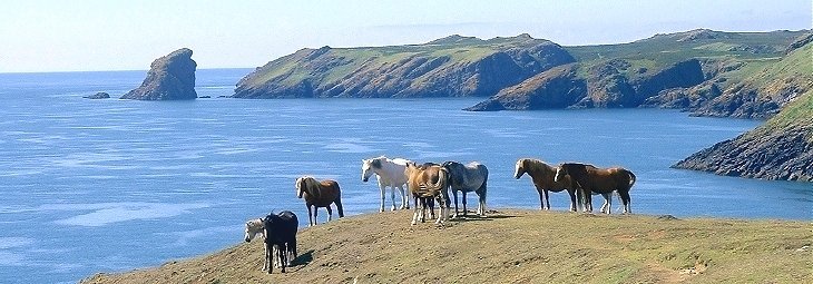 Image58.jpg Image58.jpg