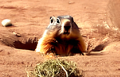 1765973315406.png 1765973315406.png