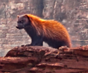 1765979007872.png 1765979007872.png