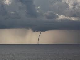 1767008874046.jpeg 1767008874046.jpeg