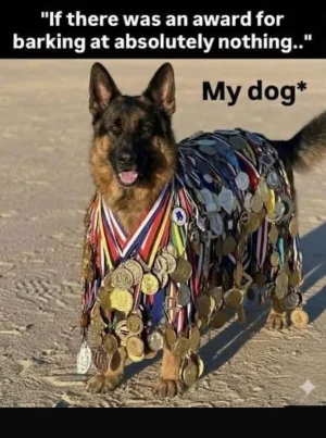 Screenshot 2026-01-10 at 18.54.33.webp