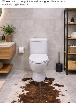 IMG_5879.jpeg IMG_5879.jpeg