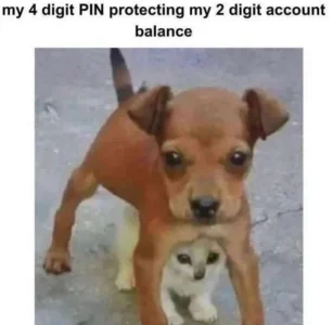 Screenshot 2026-03-25 at 19.39.38.webp