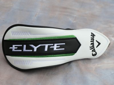 elyte8.JPG elyte8.JPG