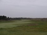 DSCF1370.jpg