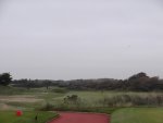 DSCF1384.jpg