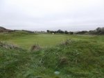 DSCF1390.jpg