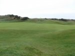 DSCF1395.jpg