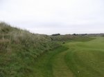 DSCF1407.jpg