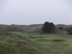 DSCF1424.jpg