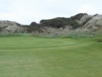 DSCF1429.jpg