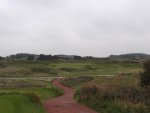 DSCF1431.jpg
