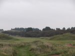DSCF1437.jpg