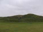 DSCF1439.jpg