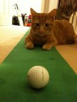 putting.jpg