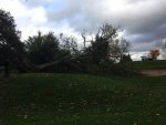 Storm damage.jpg