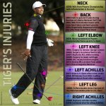 tigersurgery.jpg tigersurgery.jpg