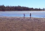 beach123.jpg