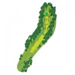 hole-8.jpg hole-8.jpg