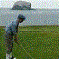 lobthewedge